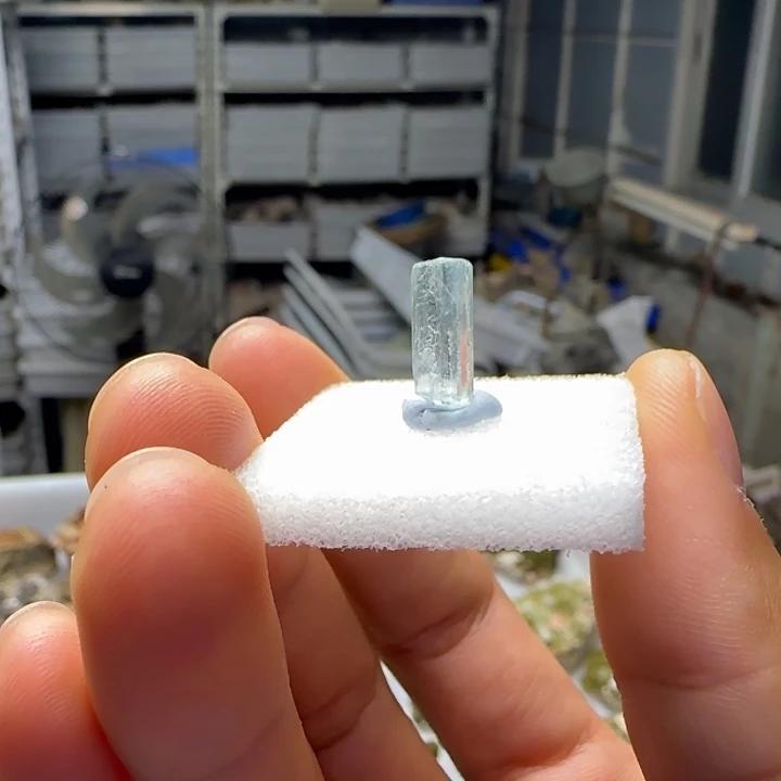 印石昌化石原石料