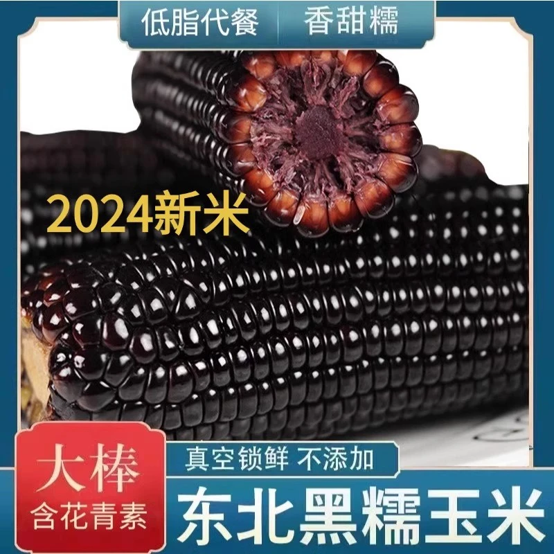 【坏棒包赔】黑玉米粘糯新鲜黑糯玉米甜黑糯玉米玉米东北粘糯玉米
