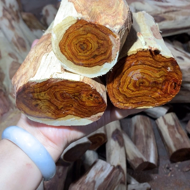用***3花梨木类海南黄花梨