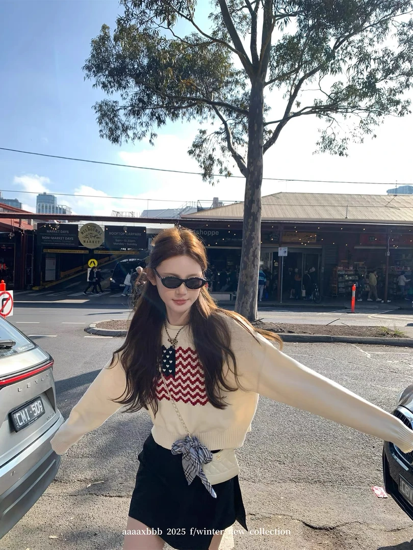 一眼街拍美女 提花毛衣长袖百搭美式复古圆领上衣女