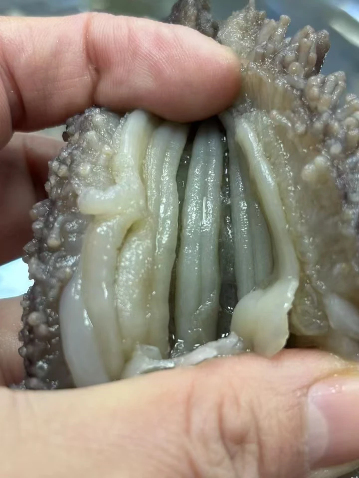 鲜食纯野海参（25-30头）整抽5斤