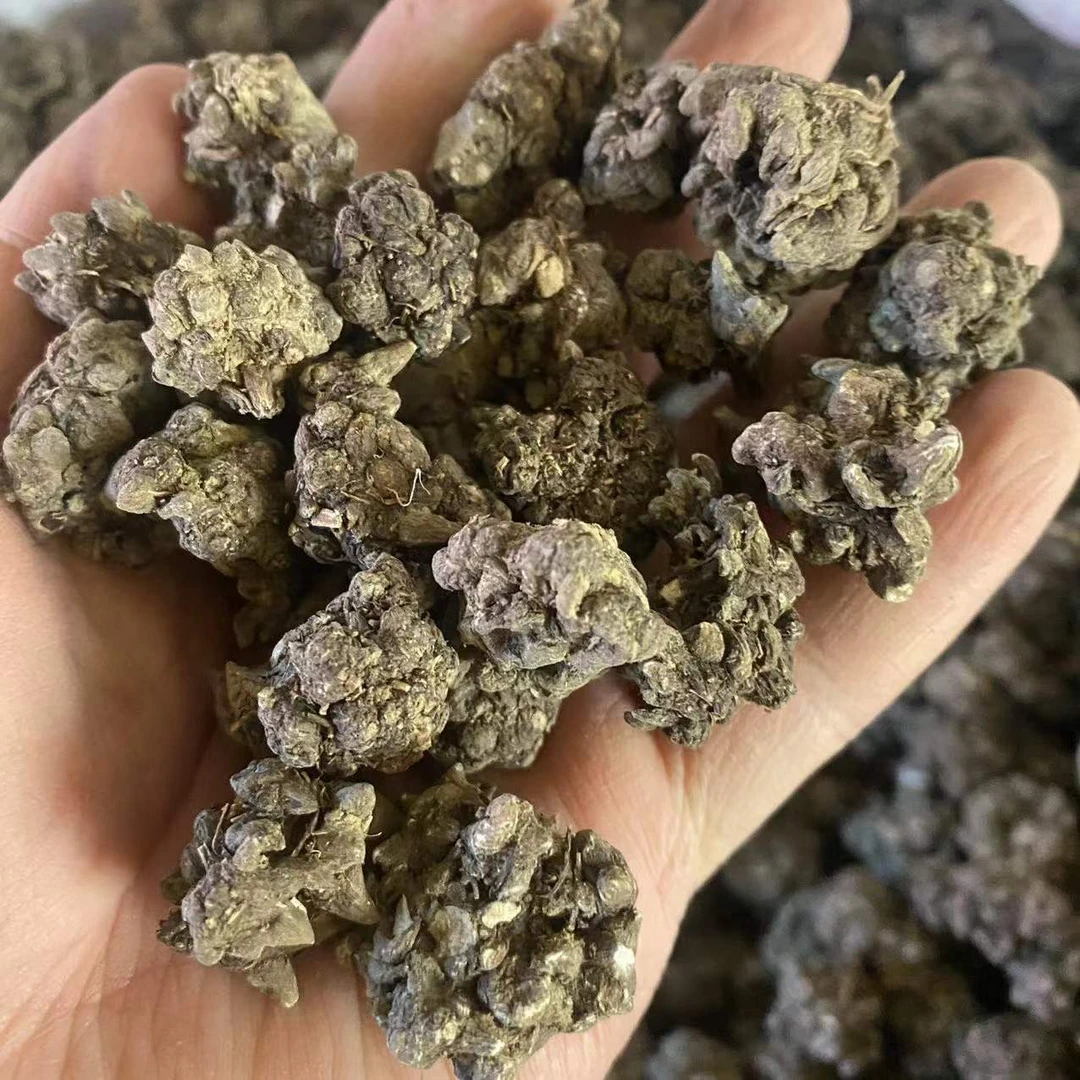 猫爪草猫抓草新货散装批发猫爪草洗货猫爪草中药材批发猫爪草