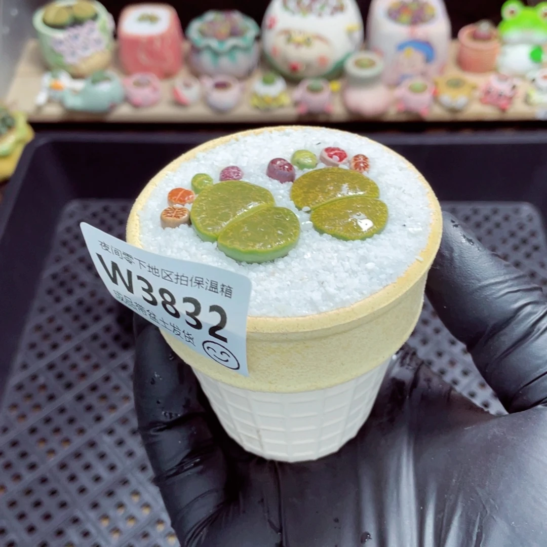 夜间零下地区拍保温箱w3832