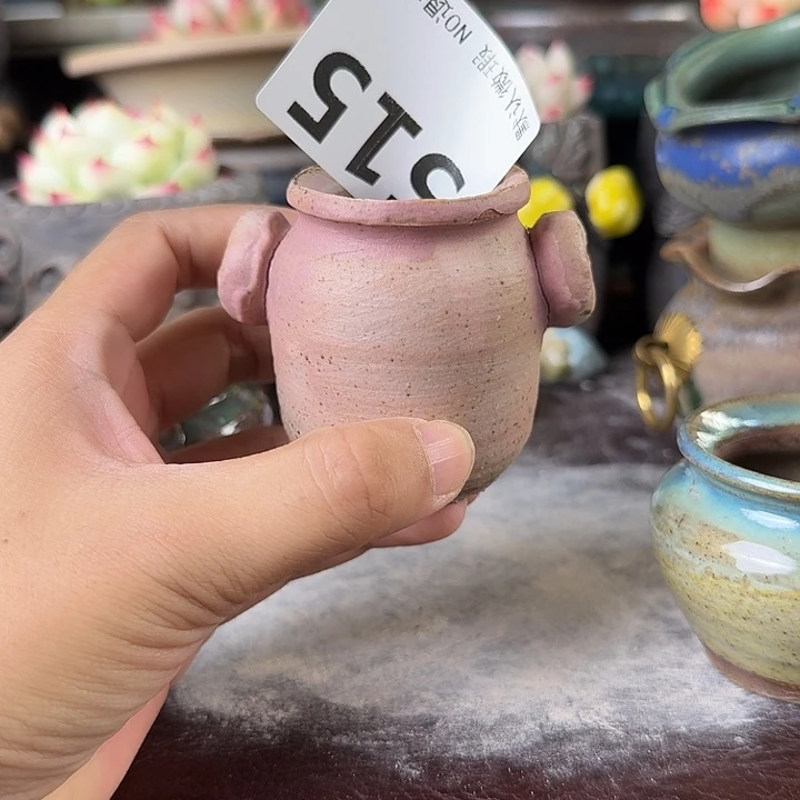 重庆小燕子欢迎大家515
