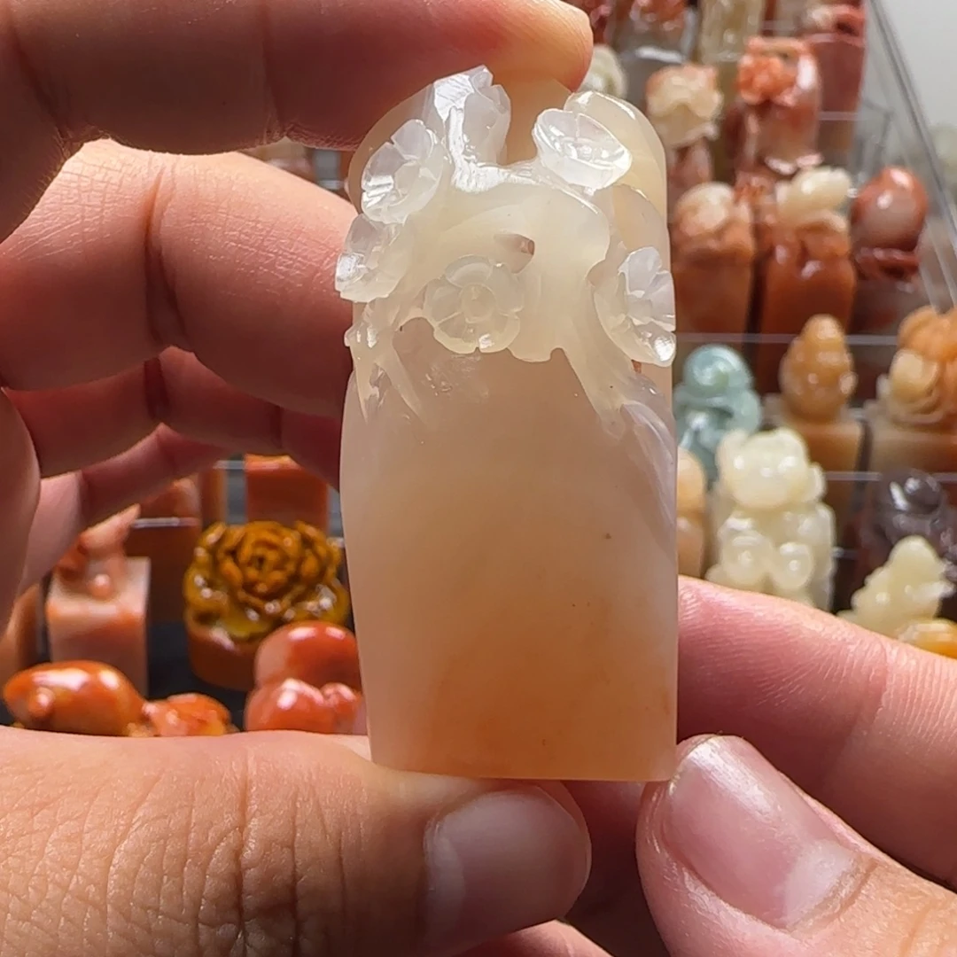 老挝石梅花  2.3×5.2