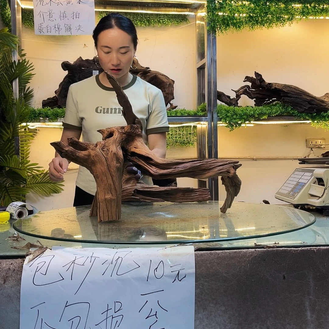 S***Y柚木沉木鱼缸造景