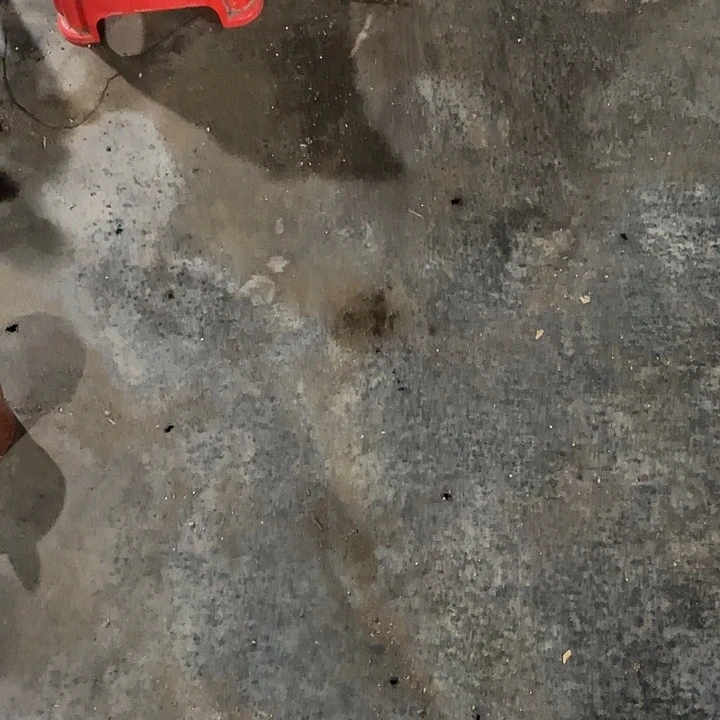 不***人嘟12号补差价秀蒲嫁接大球