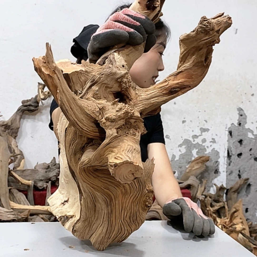 【闪购商品】柏木.**乍我们都是好孩子啊