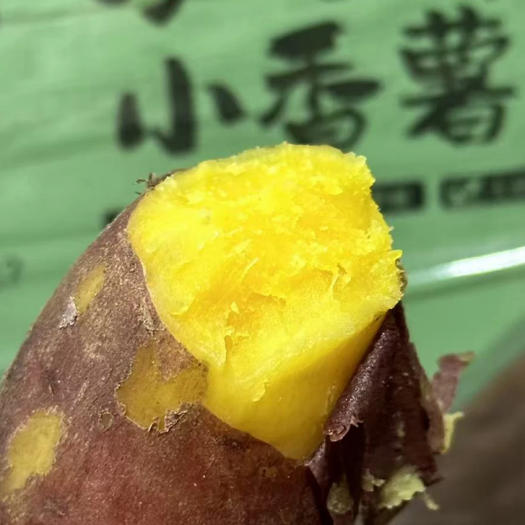 【军哥严选】沙地小番薯4斤礼盒装