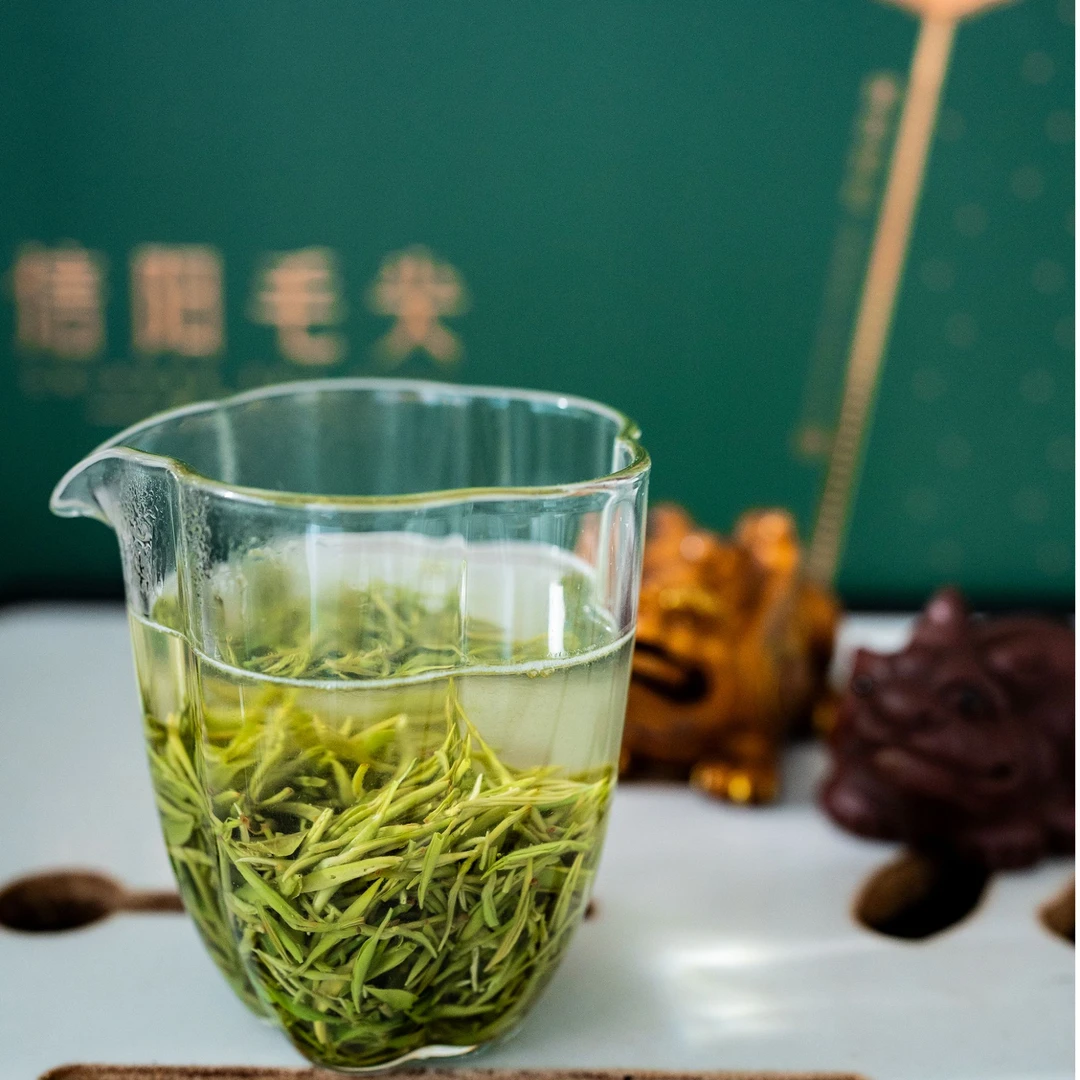 2025新茶特级信阳毛尖绿茶河南毛尖茶明前嫩芽正品茶叶