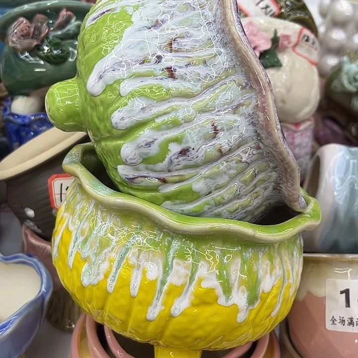 多肉植物陶瓷花盆