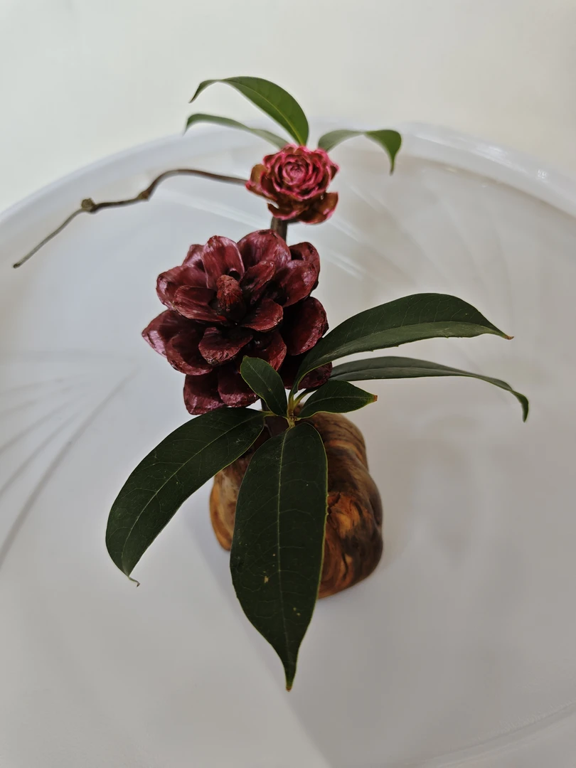 崖柏花瓶龙枝牡丹桌面摆件永生花