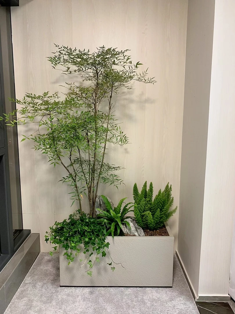 绿植造景大型落地组合盆栽办公室商场家用花箱花池造景设计真植物