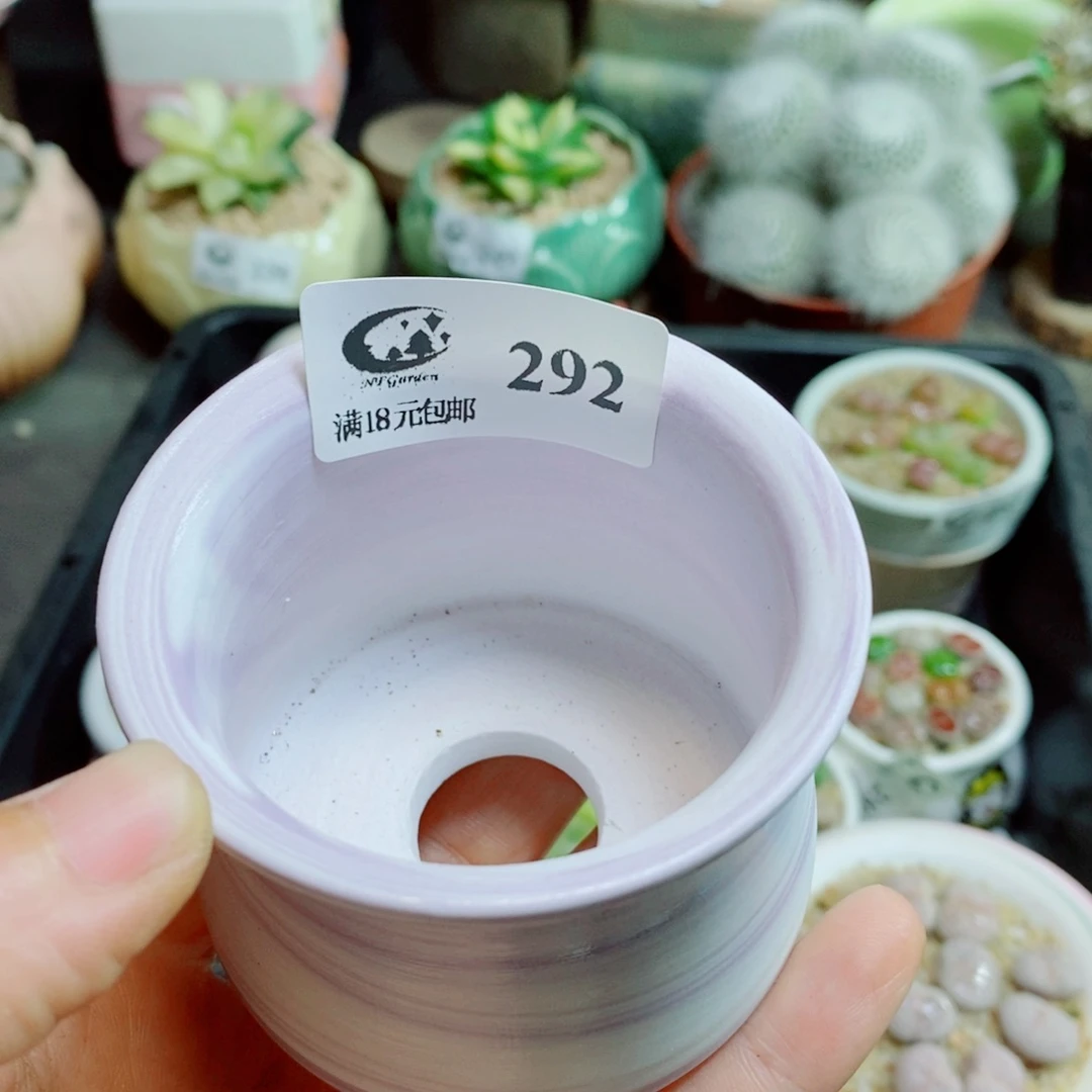 茜***爱生石花花花花花花花花292