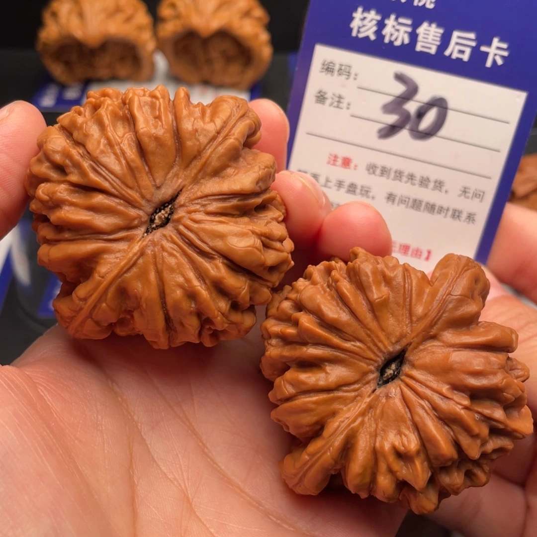 文玩核桃把件龙鼎53全品30号