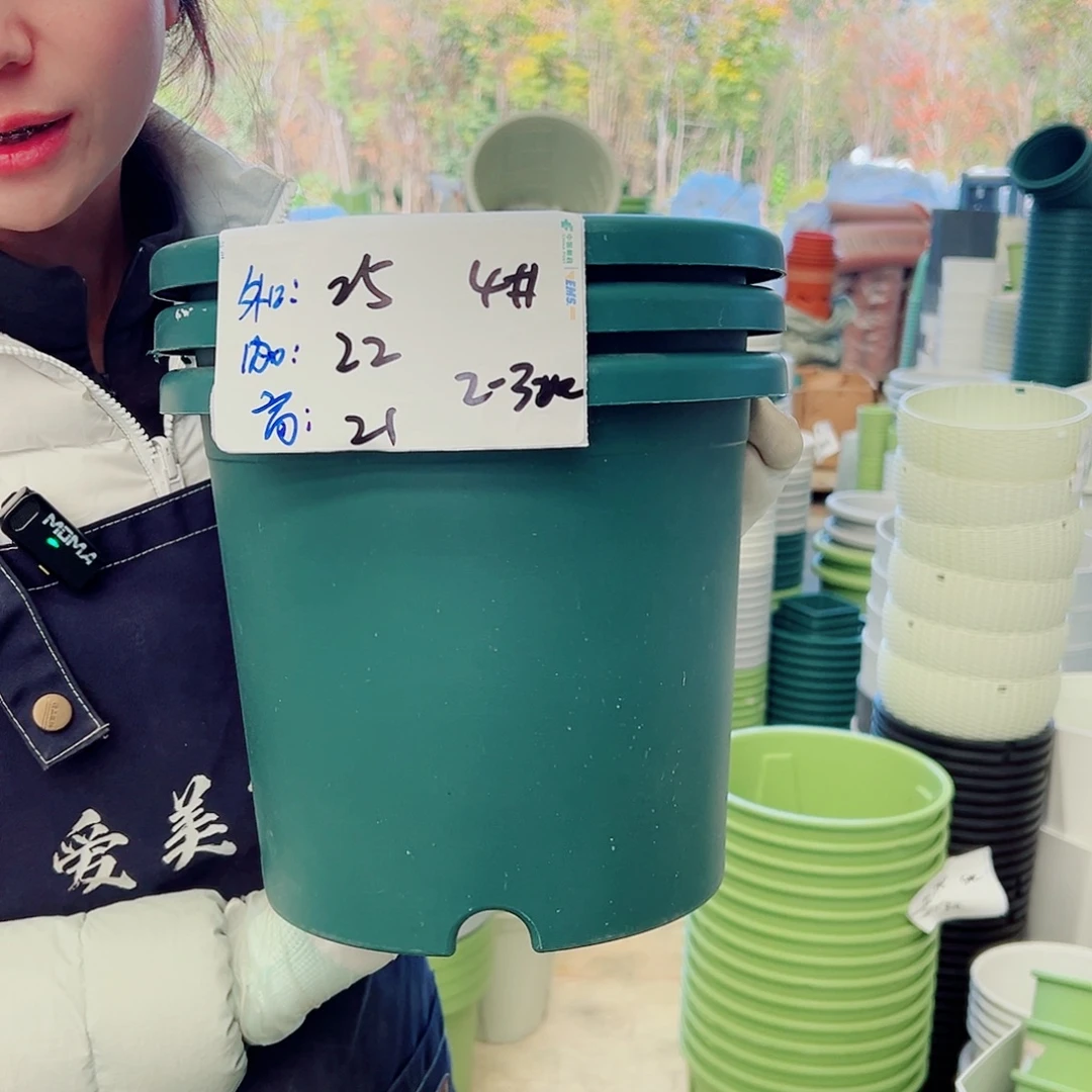 四季盆4#墨绿8个无托