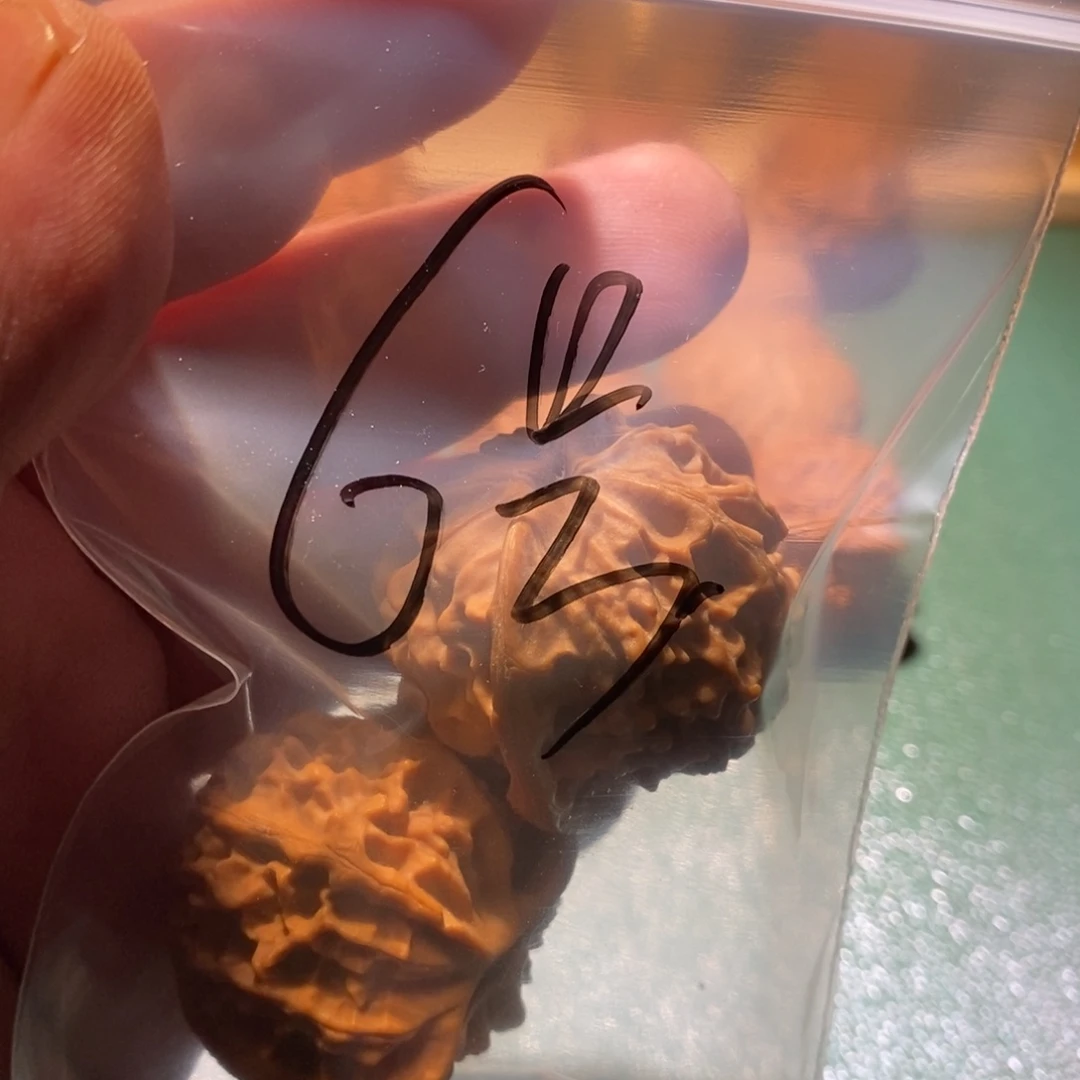 吊坠桃核天地有我不敢恭维