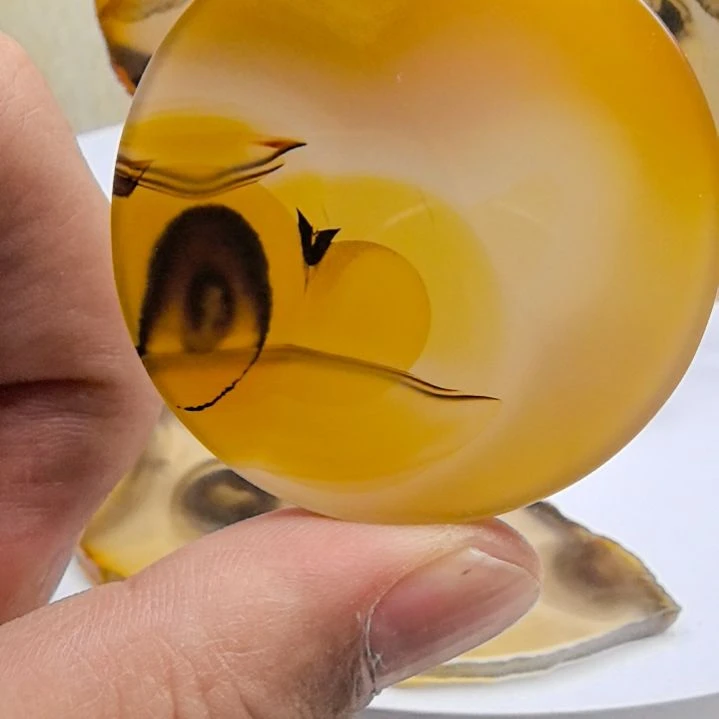 非金属时尚饰品23