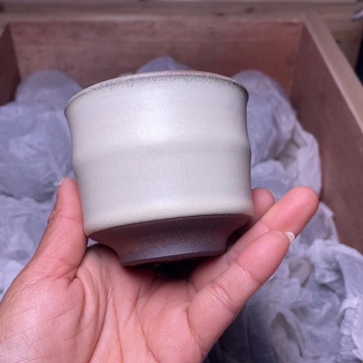 茶盏乐乐乐乐乐乐乐乐