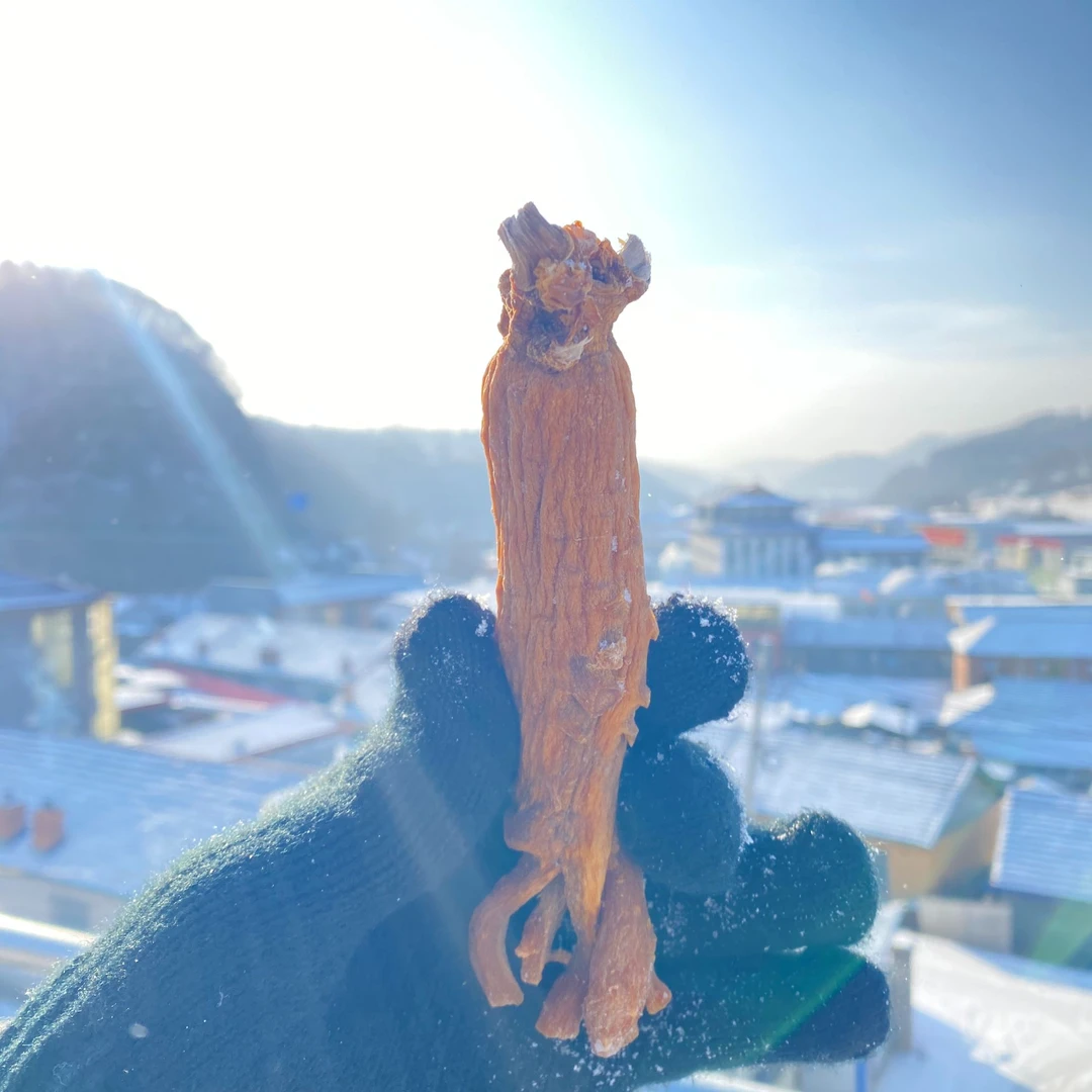 天字号 十年高丽参 陈化五年 六支装 蝴蝶芦 将军肩 黄马褂 珍藏