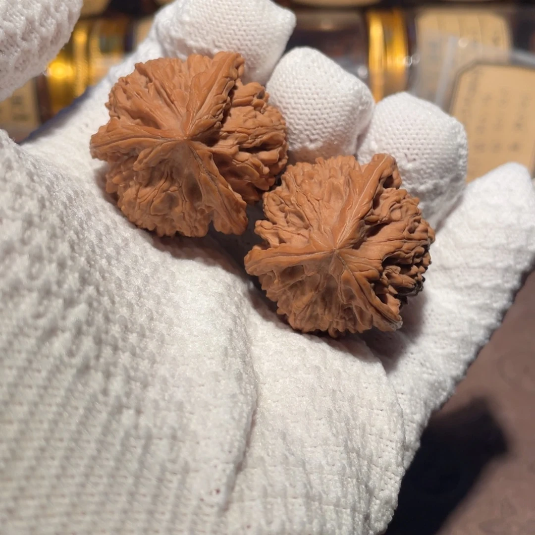 核桃36文山奔bbbbb