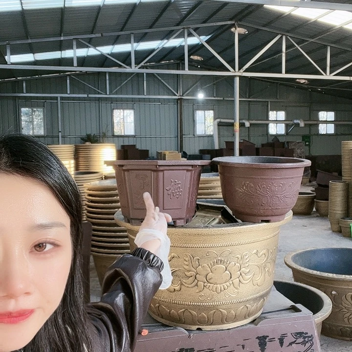 阿***才补差价补差价补差价八角40盆6个