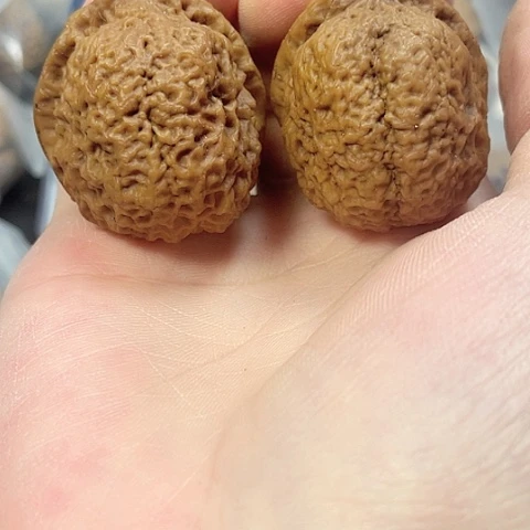 文玩核桃把件府上有龙带彩42+差尺