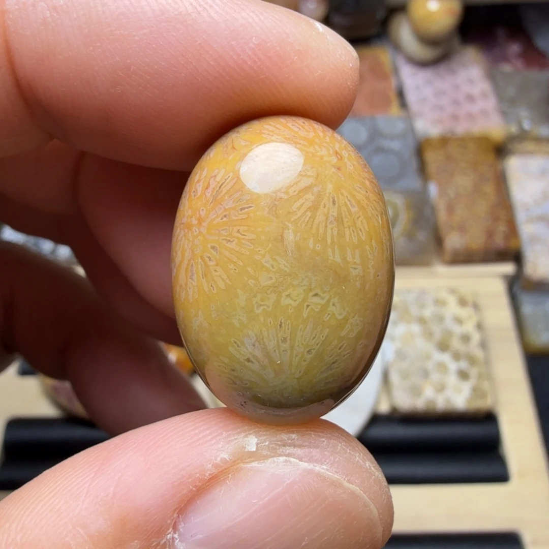 硅化玉未镶嵌纯天然色有机玉石保真色