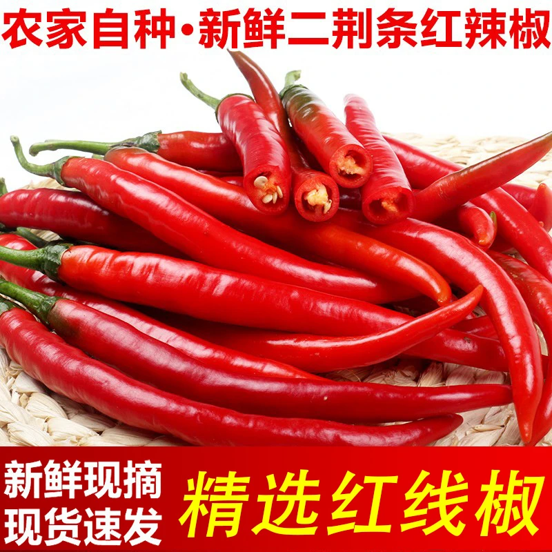 红二荆条红线椒剁椒酱红辣椒乌红紫红辣椒现摘现发新鲜