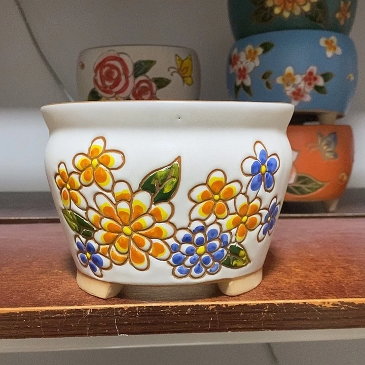 韩式多肉植物花盆