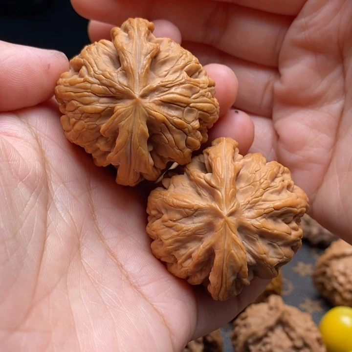把件文玩核桃红锦鲤41尺