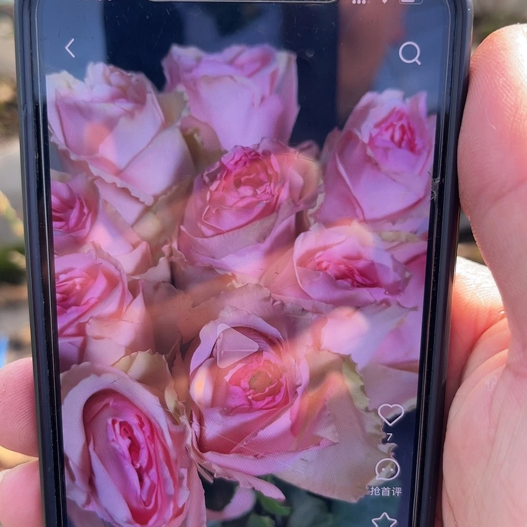 无花朵———读心术 福利款