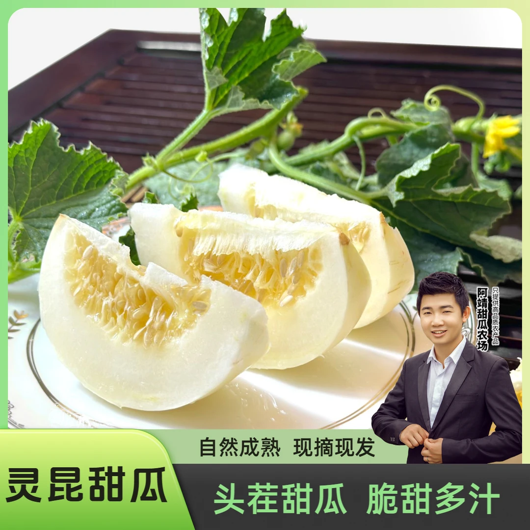【温州特产】本地灵昆甜瓜现摘白啄瓜老品种新鲜正宗甜香瓜脆甜新鲜