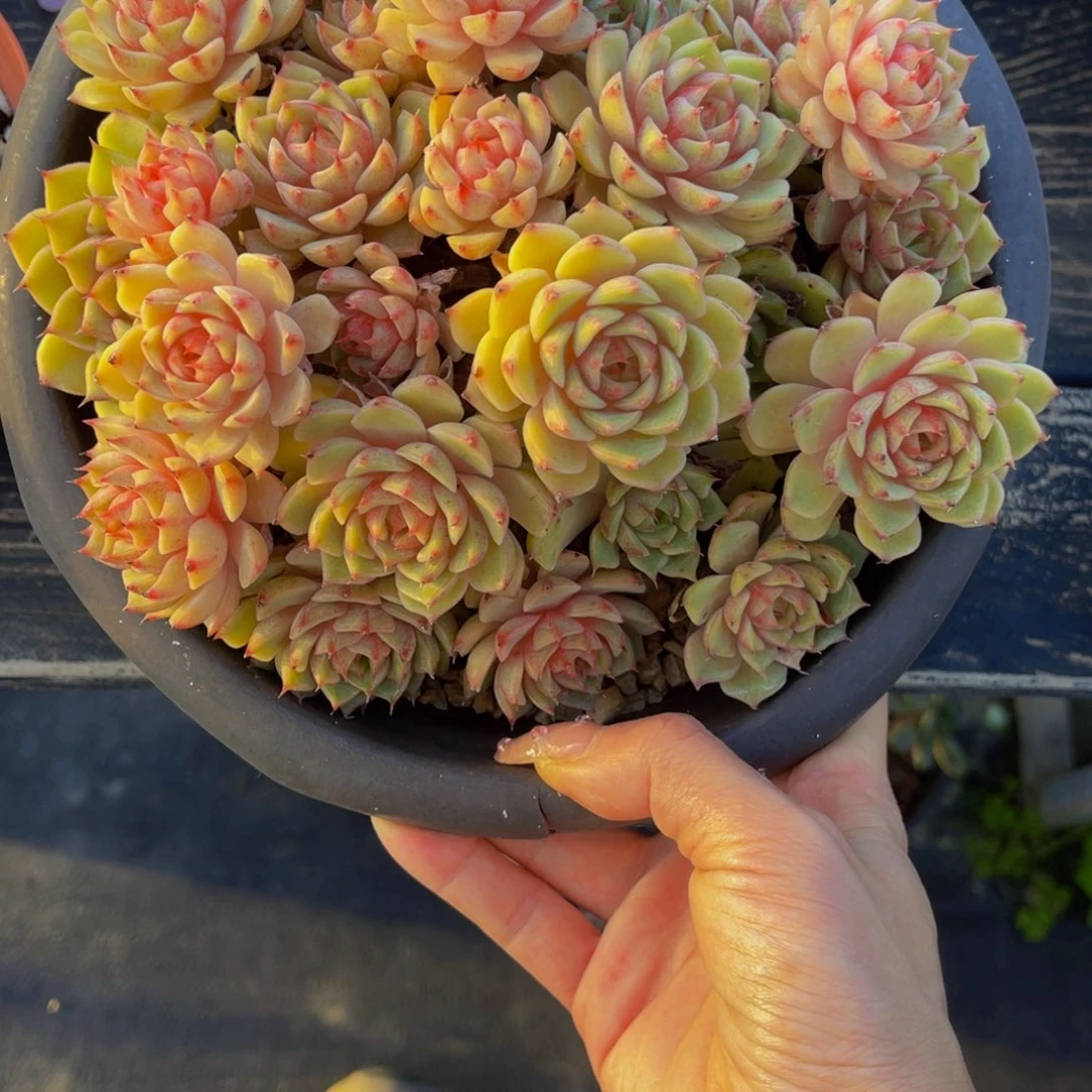 发货111111111111111