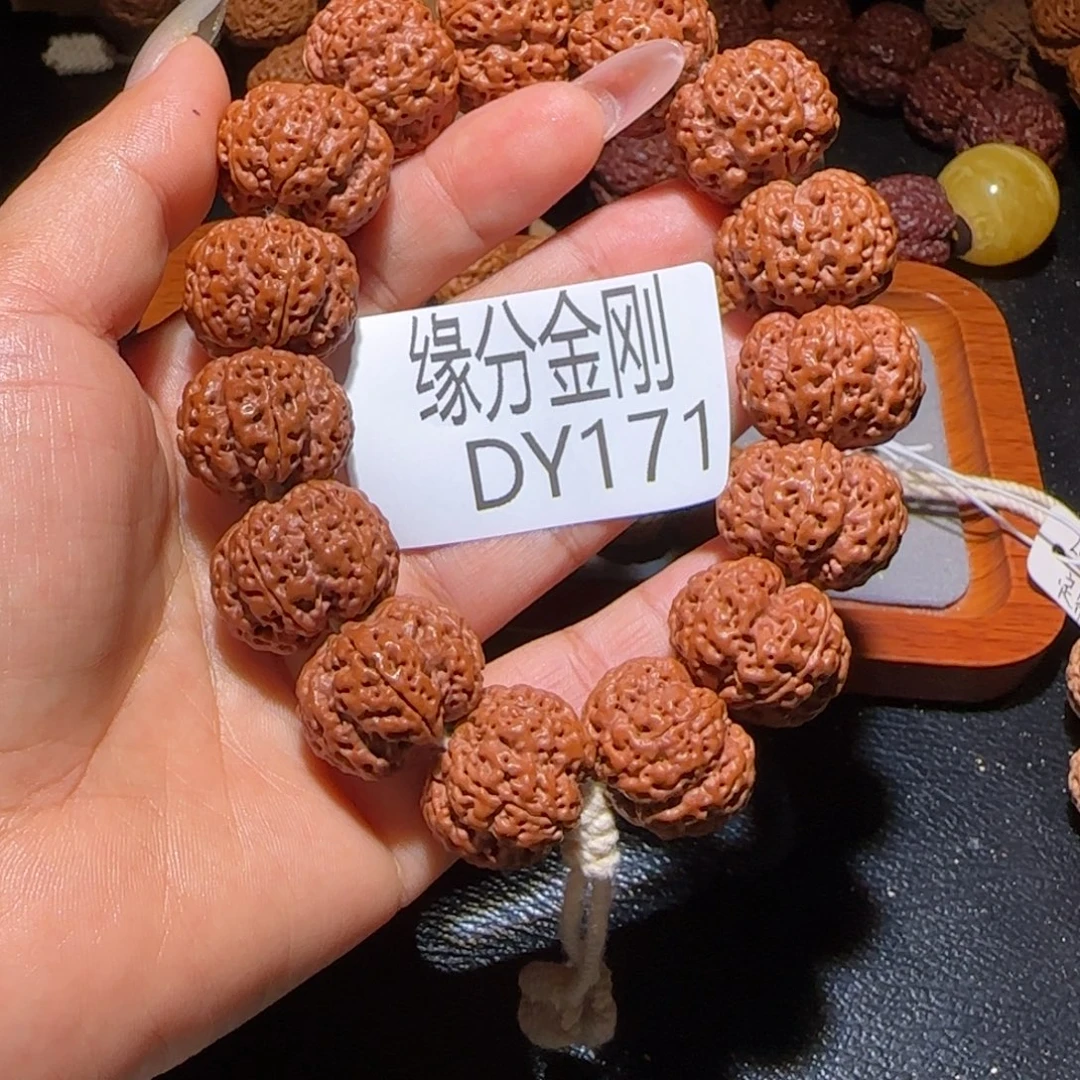 吊坠金刚菩提22霸王龙开播福利