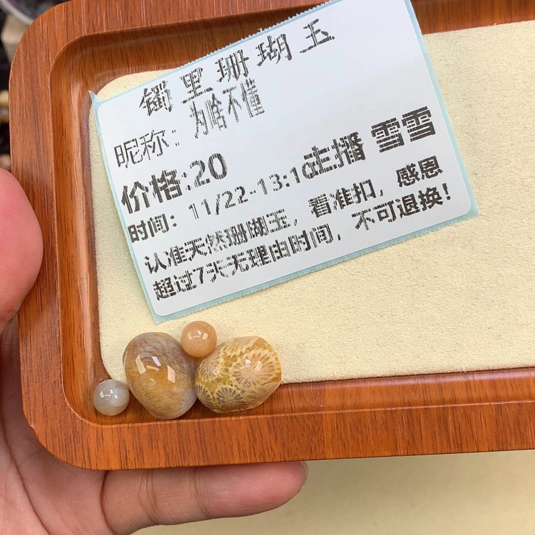 【闪购商品】颈饰未镶嵌硅化珊瑚（珊瑚玉）为**懂