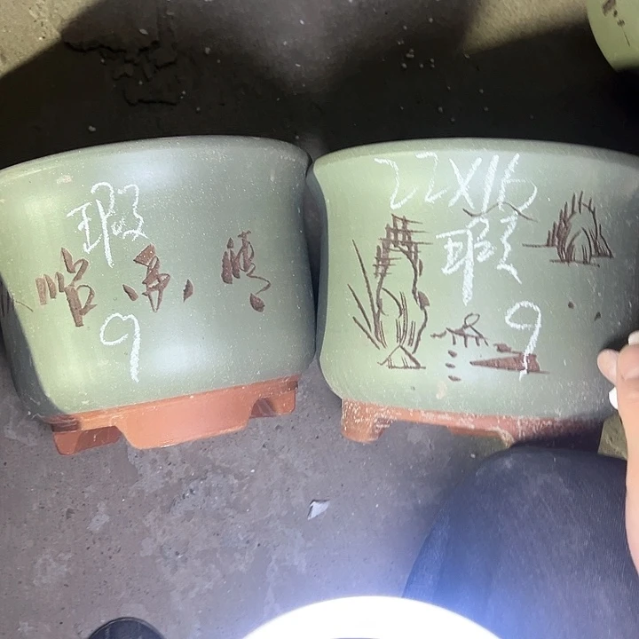 山**秀紫砂紫砂紫砂知道
