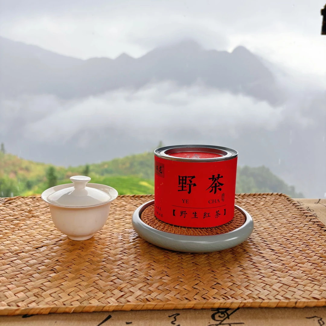 山杯道 （2026年见）高山野生红茶 菜茶