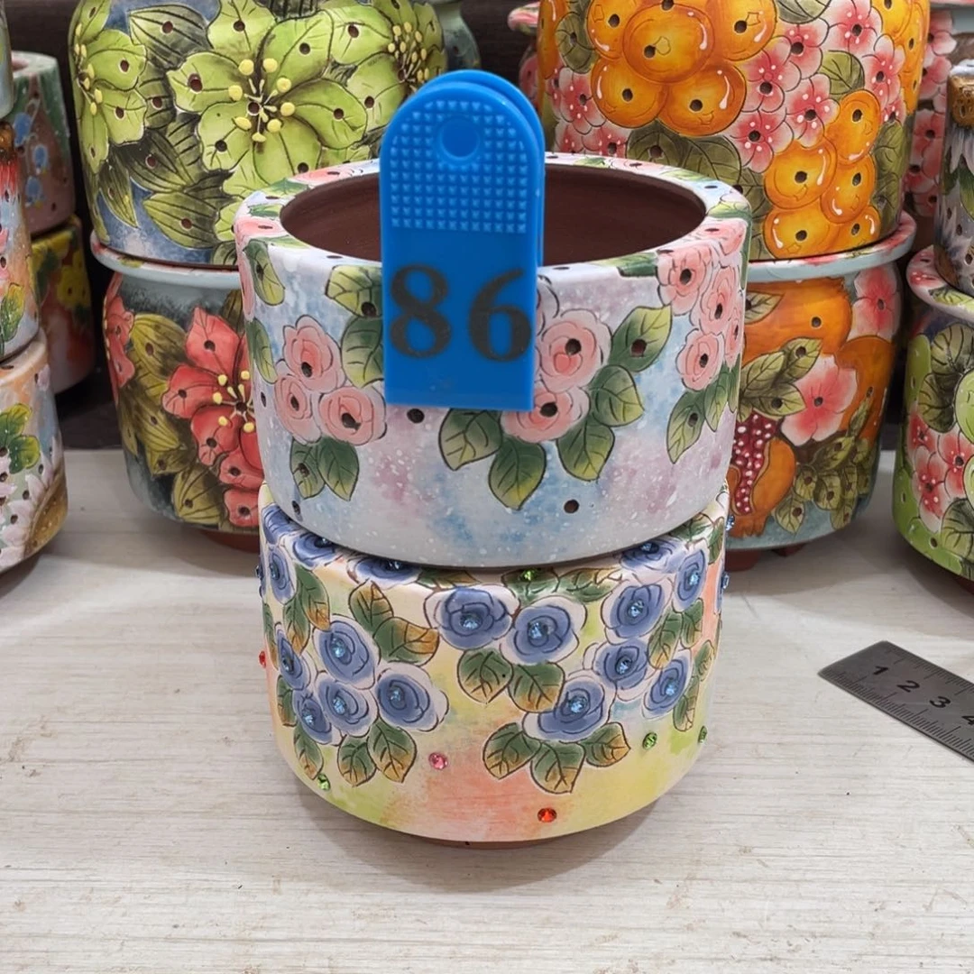 红陶顶冠花盆多肉