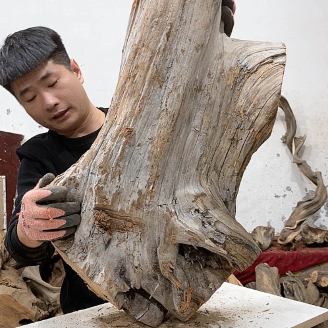 【闪购商品】柏木锦*阁我们都是好孩子