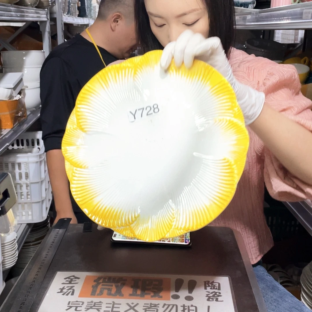 瓷片728                 2个