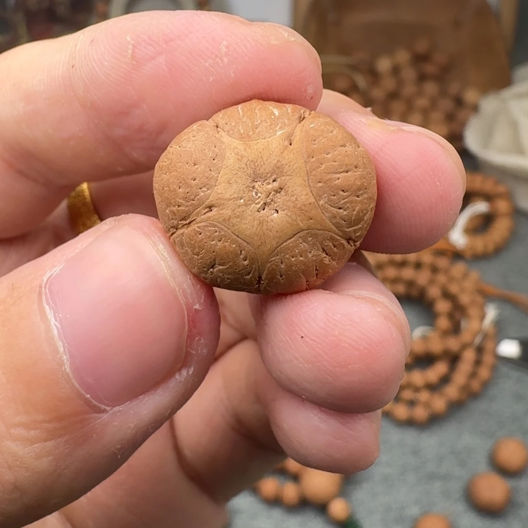 吊坠凤眼菩提腰子五星2号