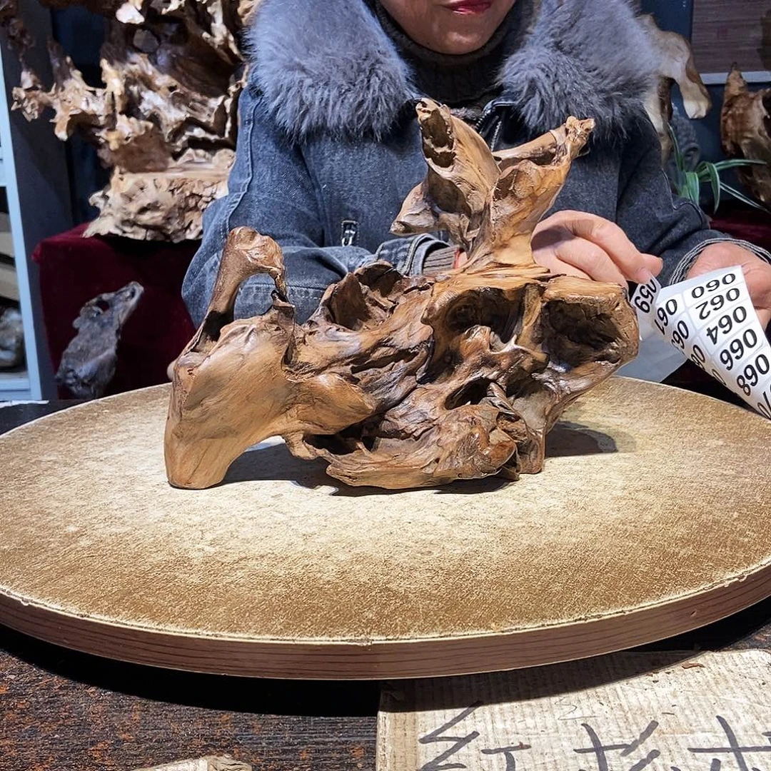 海***螺059。株木随行根艺