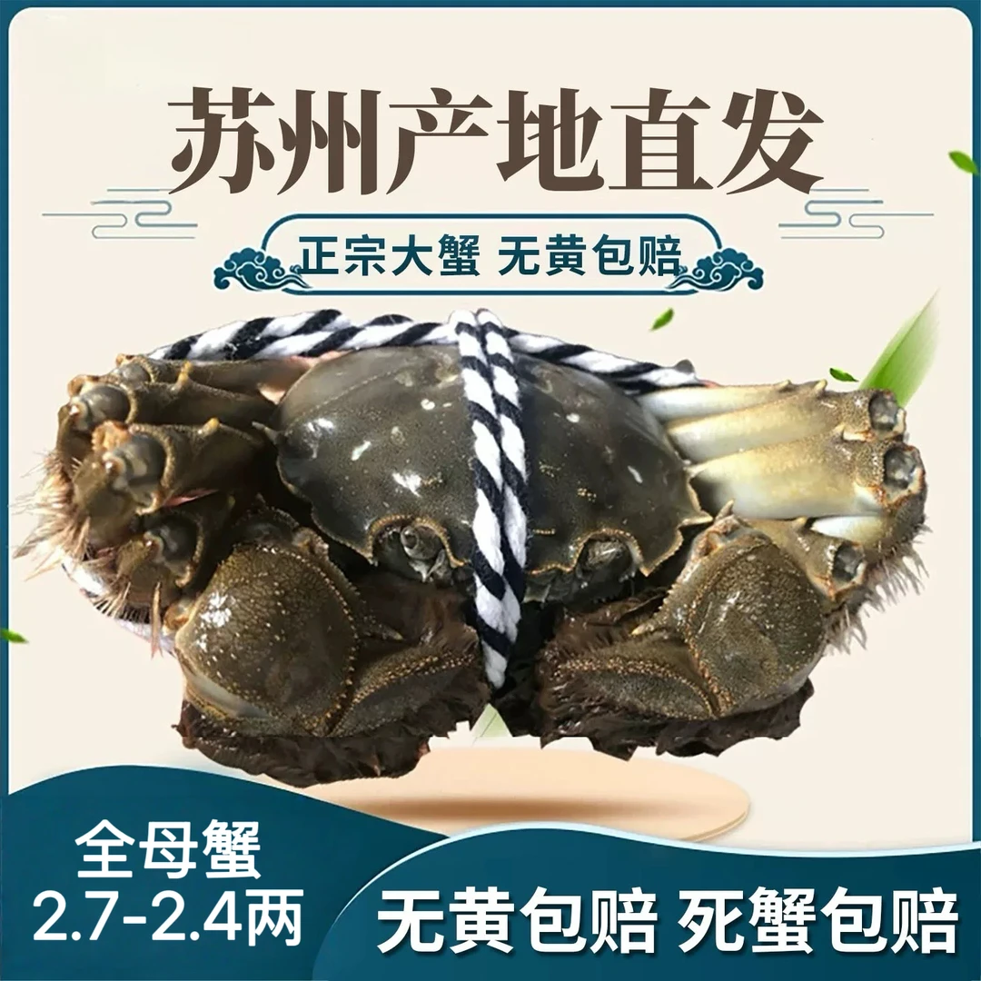【苏州金标活蟹】全母蟹2.7~2.4两礼盒装冷链包邮8+2到手10只活蟹