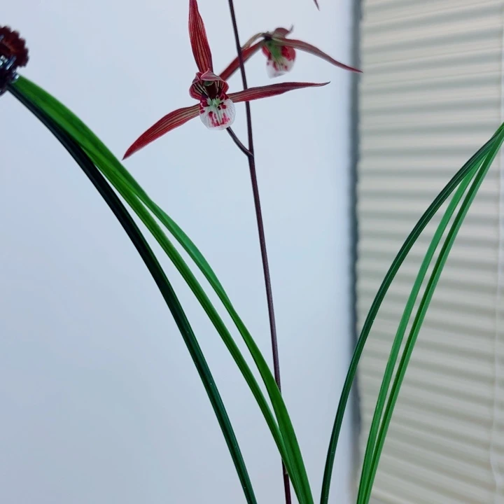 人***梦完全开放一物一拍