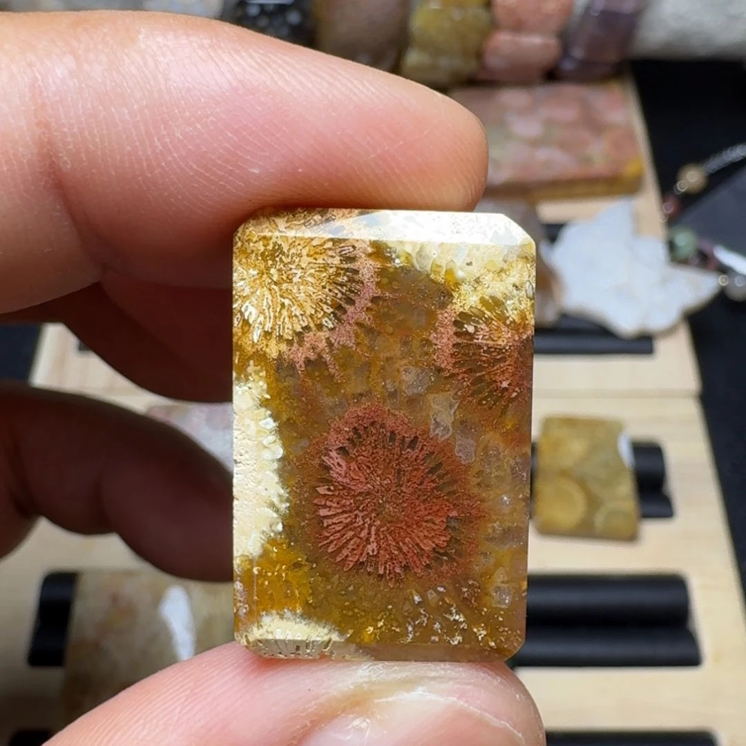 未镶嵌纯天然色有机玉石保真色硅化玉