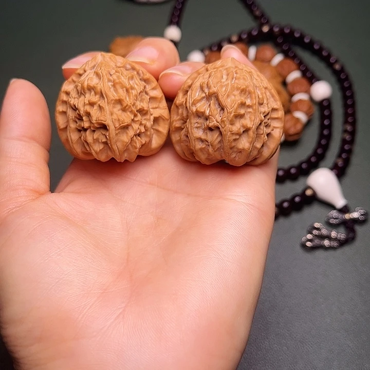 涞水山地果三角白全品