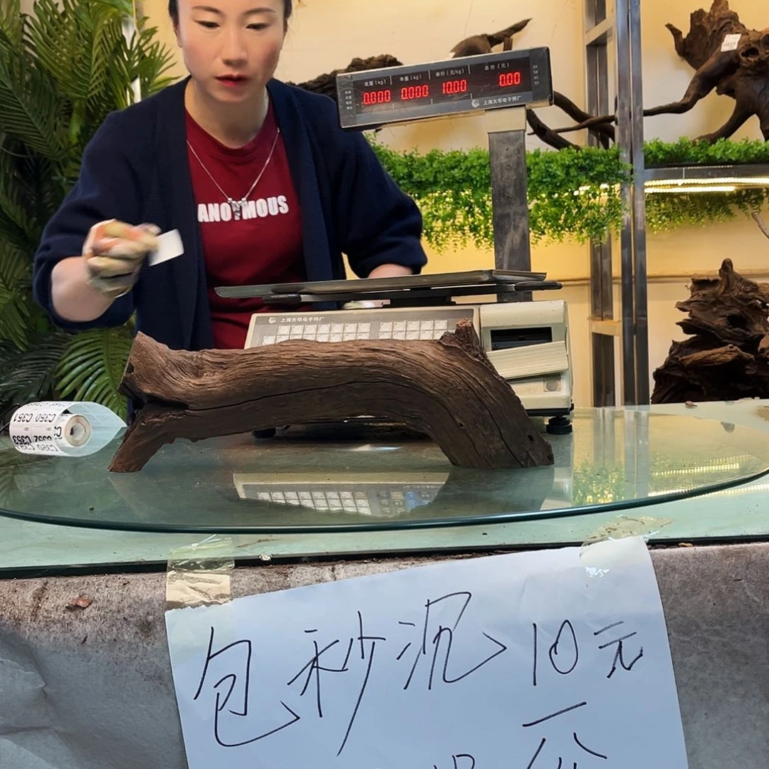 柚木谷*岁沉木鱼缸造景