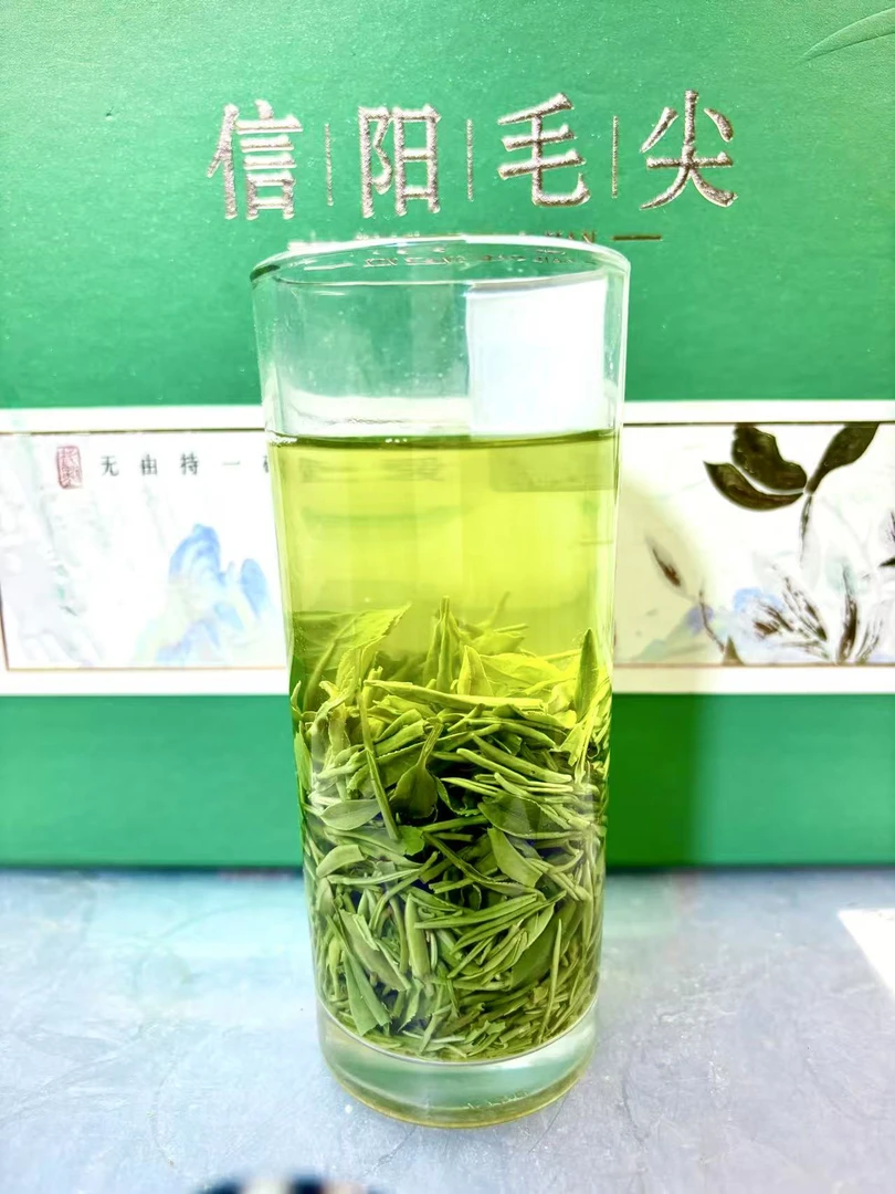 信阳毛尖-口粮茶