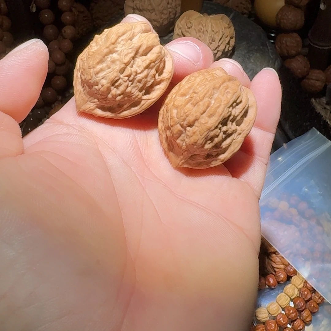 核桃31尺兴隆产区野生鸡心